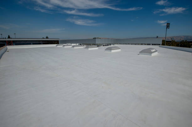 Best Roof Coating and Sealing  in Tiburon, CA
