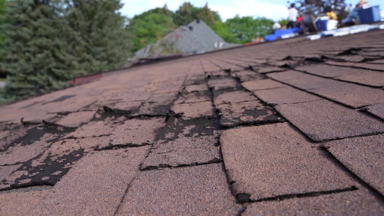 Best Asphalt Shingles Roofing  in Tiburon, CA